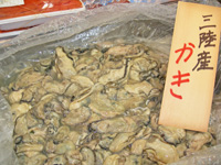 06.jpg