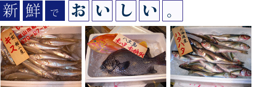 魚介・鮮魚仲卸　北部根権
