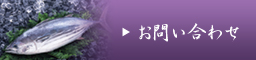 鮮魚仲卸　北部根権　お問い合わせ
