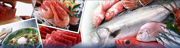 鮮魚・魚介仲卸　北部根権株式会社